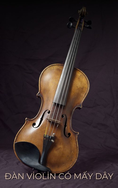 Đàn violin có mấy dây