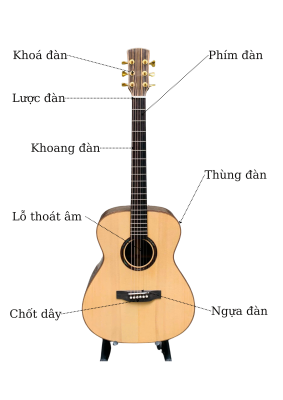 Đàn acoustic