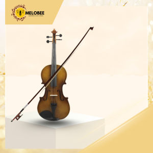 Đàn violin