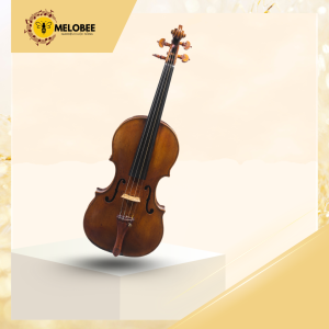 Đàn violin