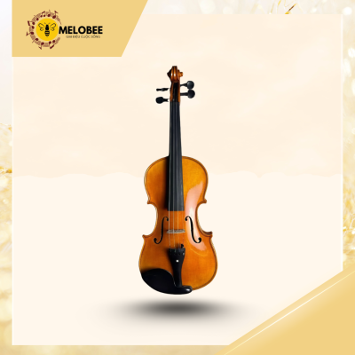 Đàn violin