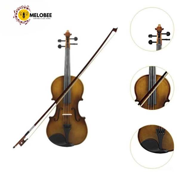 Đàn violin size 4/4 dành cho người mới bắt đầu - Hình ảnh 2
