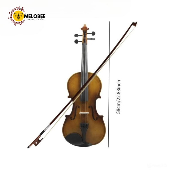 Đàn violin size 4/4 dành cho người mới bắt đầu - Hình ảnh 3