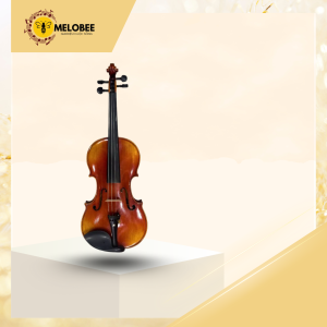 Đàn violin victoria