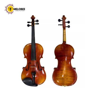 Đàn violin