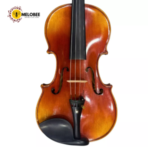 Đàn violin
