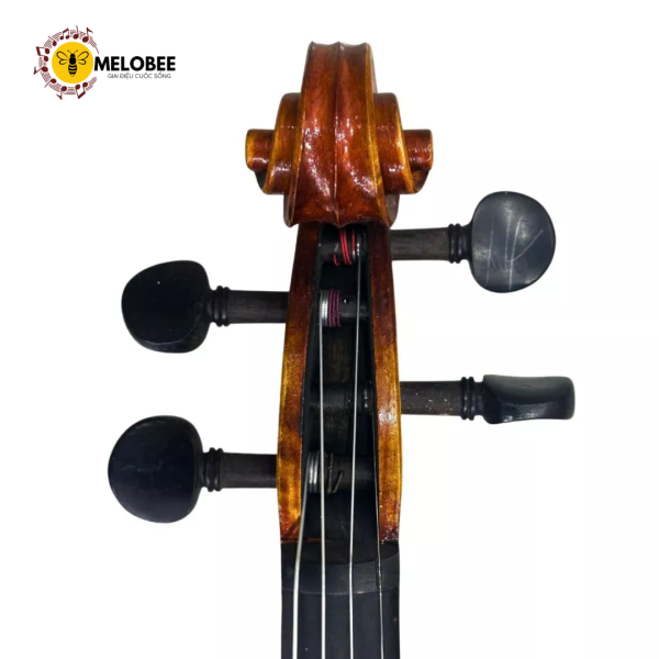 Đàn violin