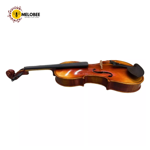 Đàn violin