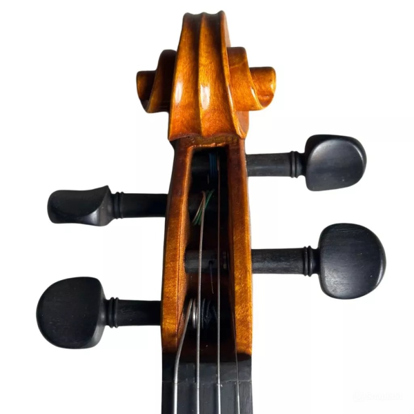 Đàn violin