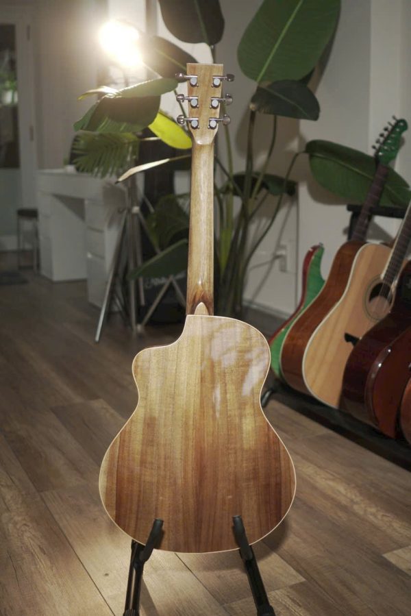 Đàn guitar acoustic VE99 - Hình ảnh 2