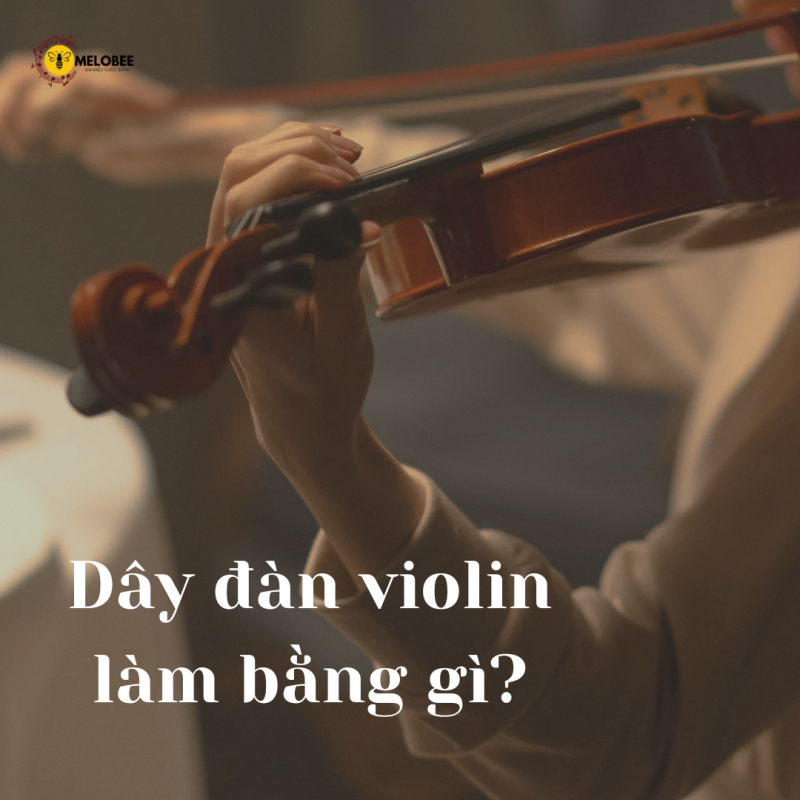 Dây đàn violin làm bằng gì
