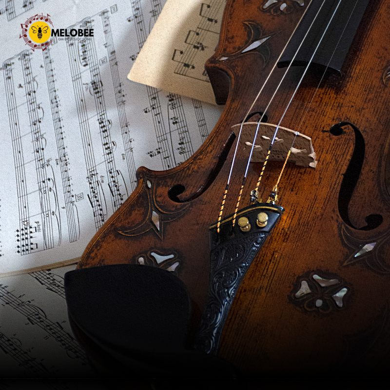 Đàn violin và violon khác như thế nào