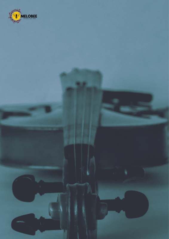 Đàn violin to gọi là gì