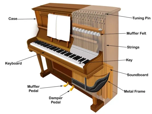 Cấu tạo đàn piano làm bằng gì - Khám phá các bộ phận chính của đàn piano