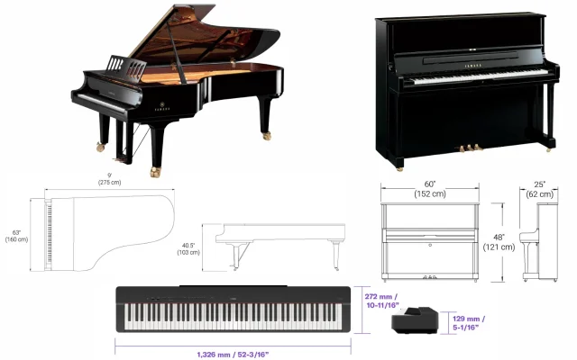 Tư vấn bằng hình ảnh giúp xác định đàn piano kích thước bao nhiêu cho người mới bắt đầu.