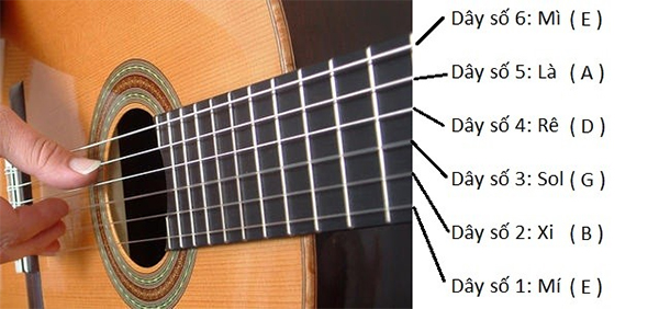 Đàn guitar có mấy dây