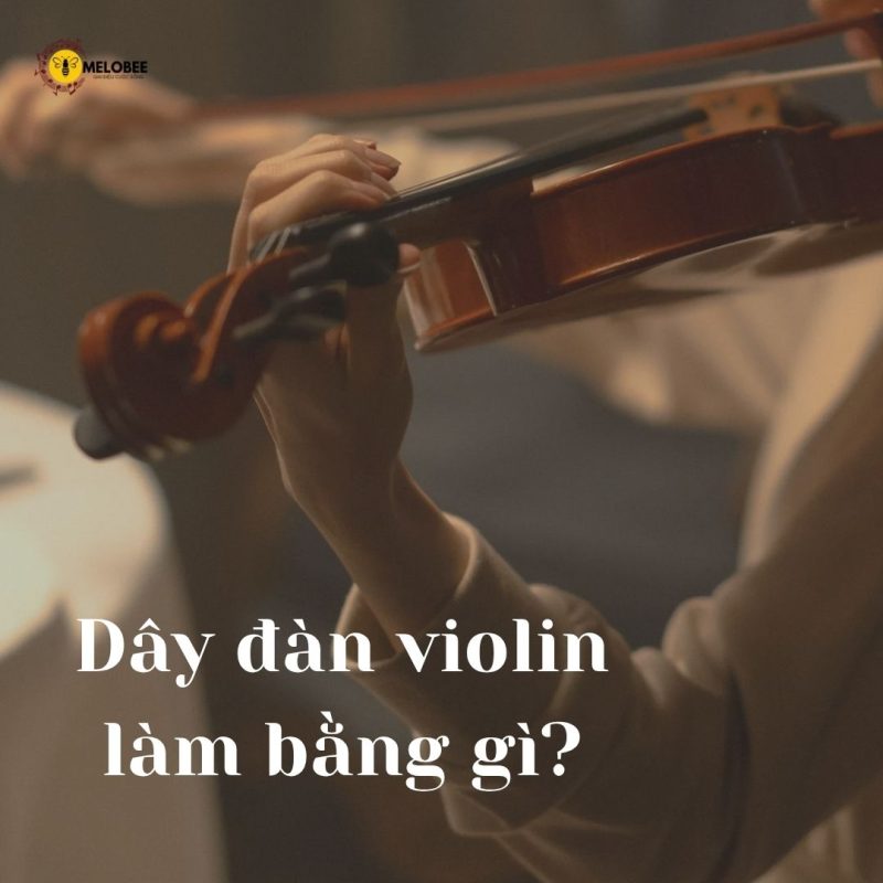 dây đàn violin làm bằng gì