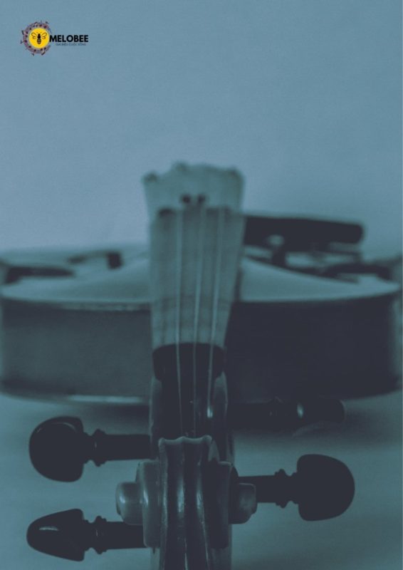 đàn violin to gọi là gì