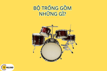 Bộ trống gồm những gì?