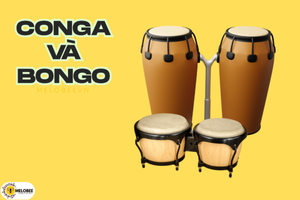 conga và bongo