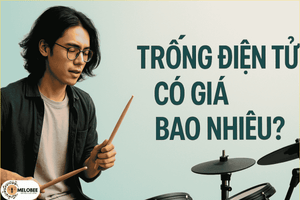 Trống điện tử có giá bao nhiêu?