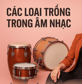Các loại trống trong âm nhạc