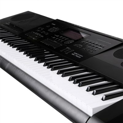 Đàn organ