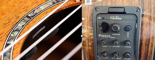 Bạn Đã Biết EQ Đàn Guitar Là Gì? 90% Người Chơi Guitar Bỏ Qua Chi Tiết Quan Trọng Này. 2 EQ đàn guitar là gì ? Hình ảnh EQ đàn