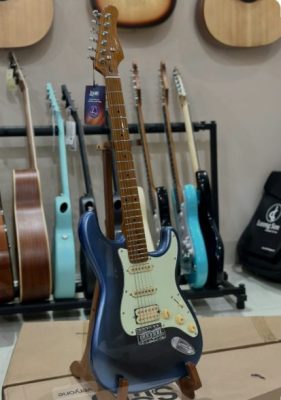 Đàn guitar điện (electric guitar)