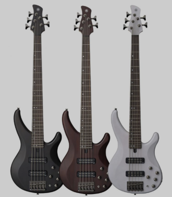 Đàn guitar bass