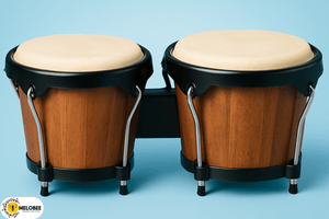 bongo
