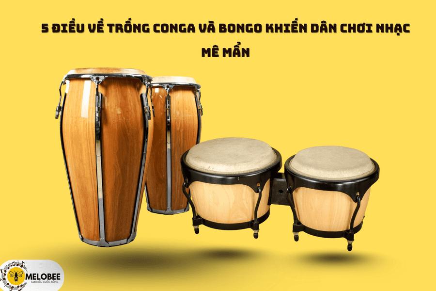 5 điều về trống conga và bongo khiến dân chơi nhạc mê mẩn