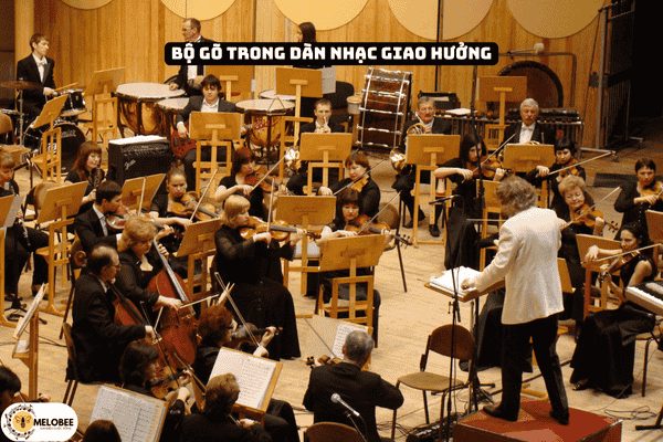 bộ gõ trong dàn nhạc giao hưởng
