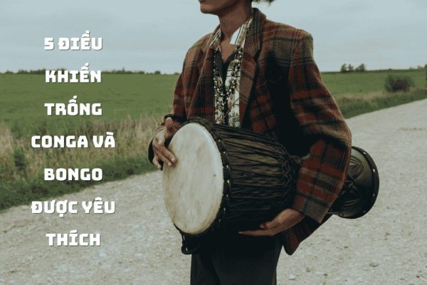 5 điều khiến trống Conga và Bongo được yêu thích