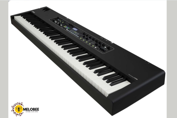 cây đàn organ điện tử có các nút điều khiển