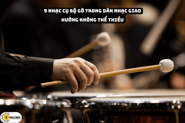 9 nhạc cụ bộ gõ trong dàn nhạc giao hưởng không thể thiếu