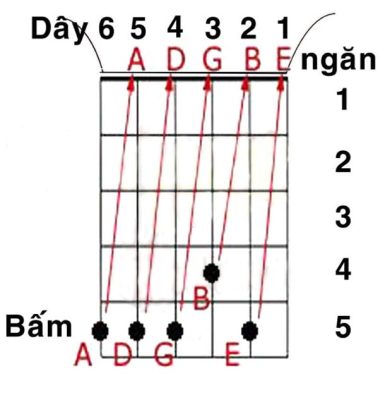 Cấu trúc cơ bản của dây và ngăn của guitar nên nhớ 