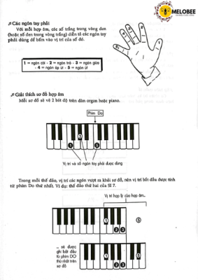 Hợp âm Organ
