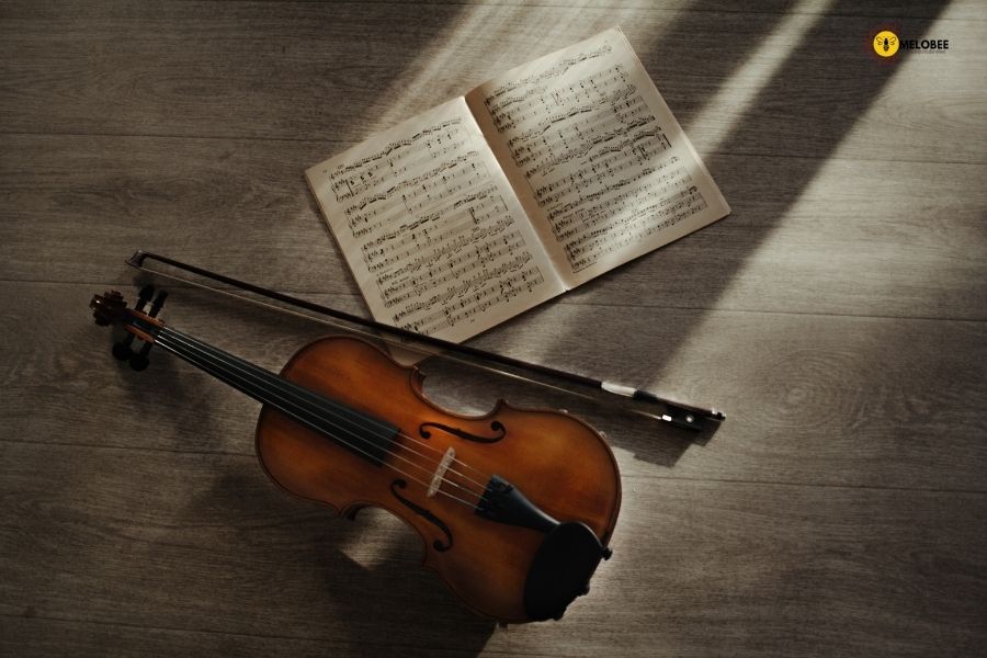 Bán violin cũ uy tín