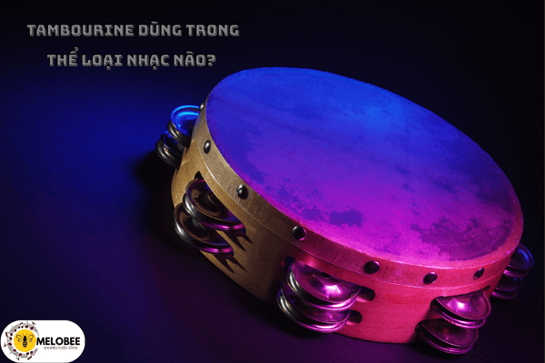 Tambourine dùng trong thể loại gì?