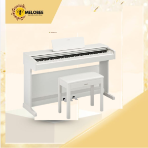 PIANO YAMAHA YDP 144 - 1