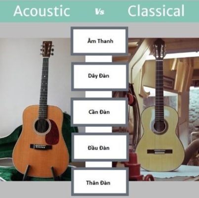 đàn acoustic khác classic chỗ nào?