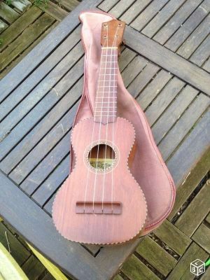 Chơi Đàn Ukulele Để Chill: Nhạc Cụ Nhỏ Nhưng Cảm Xúc Lớn 1 Đàn ukulele