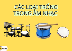các loại trống trong âm nhạc