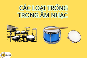 các loại trống trong âm nhạc